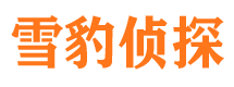 哈尔滨外遇出轨调查取证